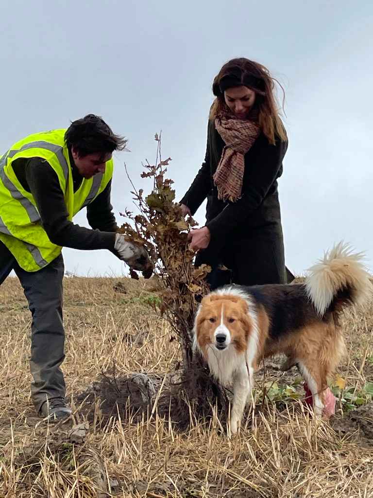 Saartje Vandendriessche en haar hond planten mee